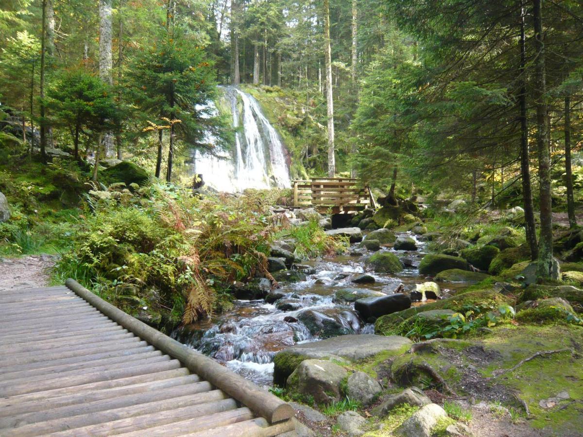 Chalet Les Moraines 8 Le Tholy Esterno foto